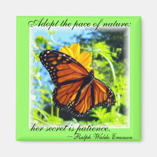 Monarch Butterfly Magnet