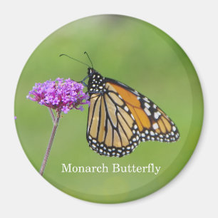 Monarch Butterfly-Magnet Magnet