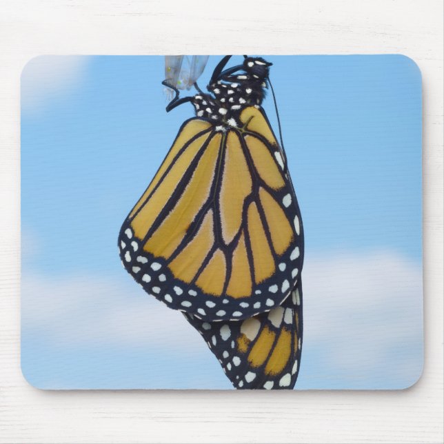 Monarch Butterfly mit Chrysalis Mousepad (Vorne)