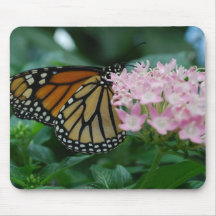 Monarch Butterfly-Mouse