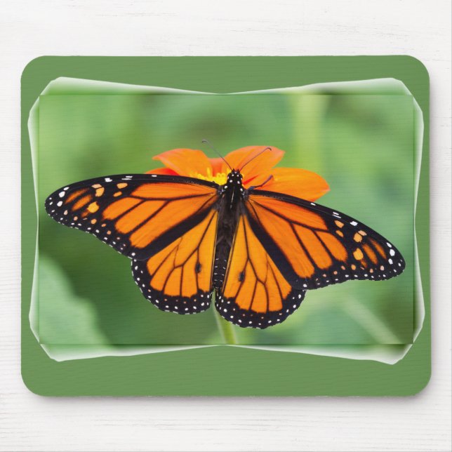Monarch Butterfly Mousepad (Vorne)