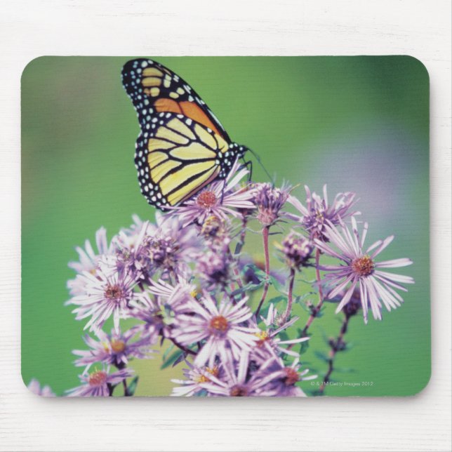 Monarch Butterfly Mousepad (Vorne)