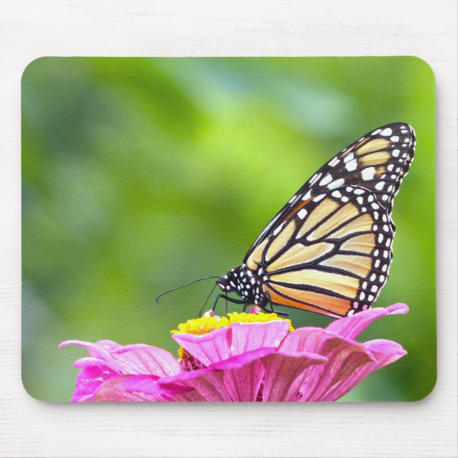 Monarch Butterfly Mousepad (Vorne)