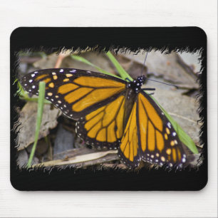 Monarch Butterfly Mousepad