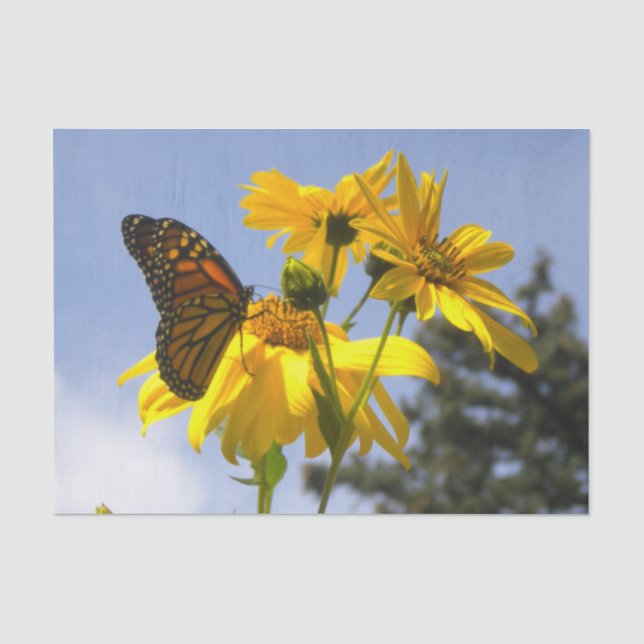 Monarch Butterfly N Sonnenblumen Seidenpapier (Vorderseite)