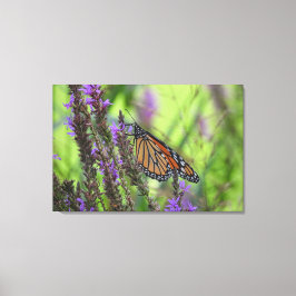Monarch Butterfly Nah auf violetten Blumen Leinwanddruck