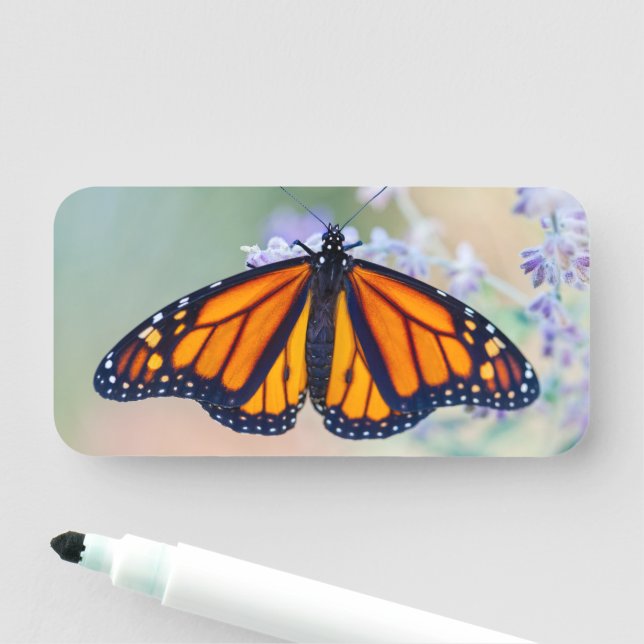 Monarch Butterfly Namensschild (Beispiel)