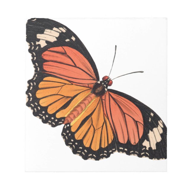 Monarch Butterfly Notepad Notizblock (Vorderseite)