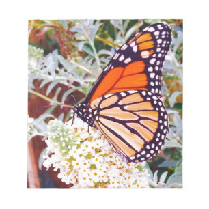 Monarch Butterfly Notizblock