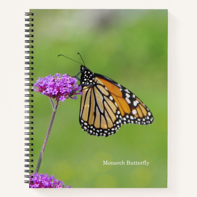 Monarch Butterfly-Notizbuch Notizbuch (Vorderseite)