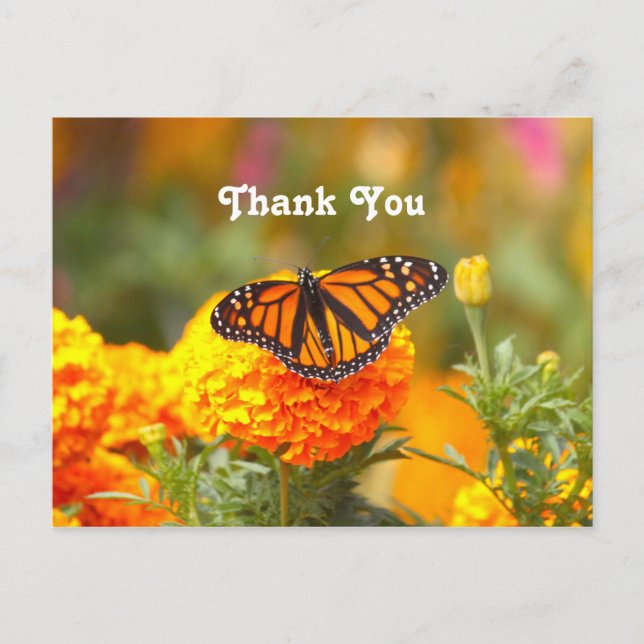 Monarch Butterfly Orange Marigold Foto Vielen Dank Postkarte (Vorderseite)