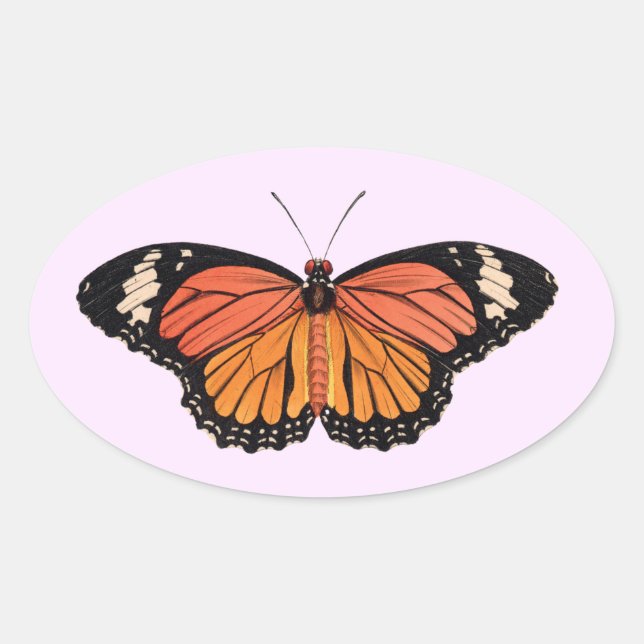Monarch Butterfly Oval Stickers (Vorderseite)