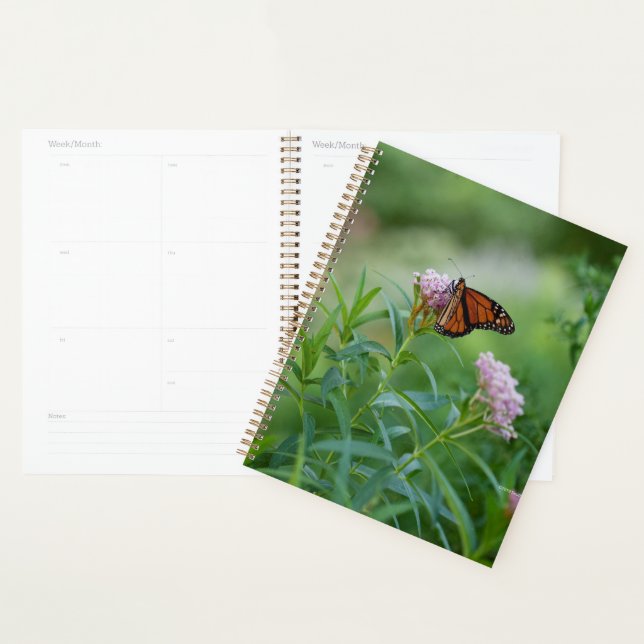 Monarch Butterfly Planer (Anzeige)