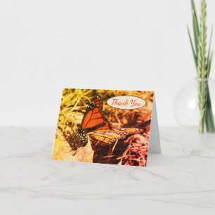 Monarch Butterfly Posing Nature Art Danke Karte