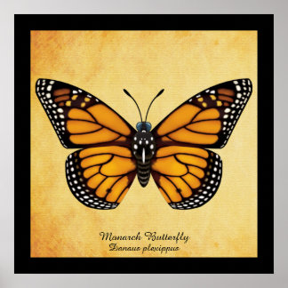 Monarch Butterfly Poster