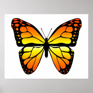 Monarch Butterfly Poster