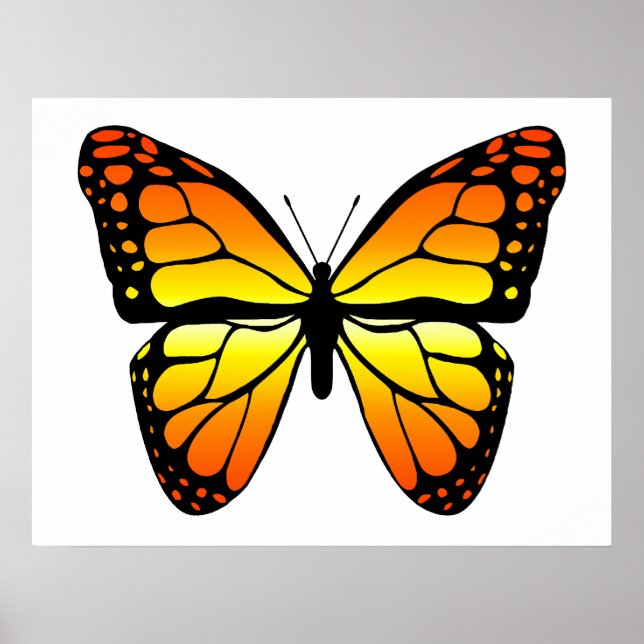 Monarch Butterfly Poster (Vorne)