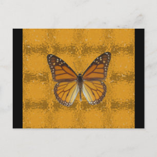 Monarch Butterfly Postkarte