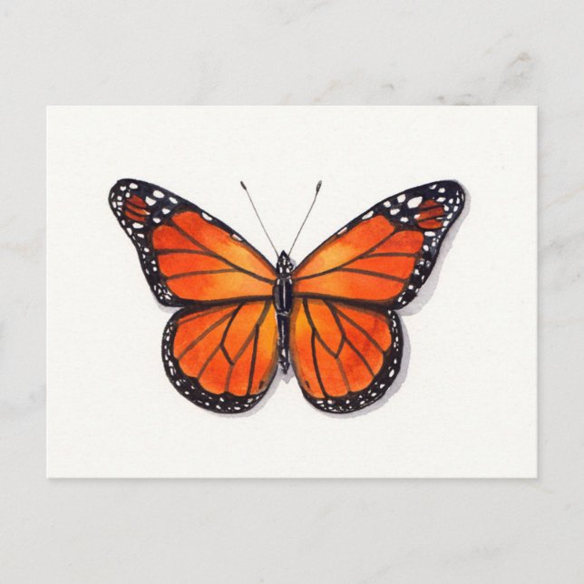 Monarch Butterfly Postkarte (Vorderseite)