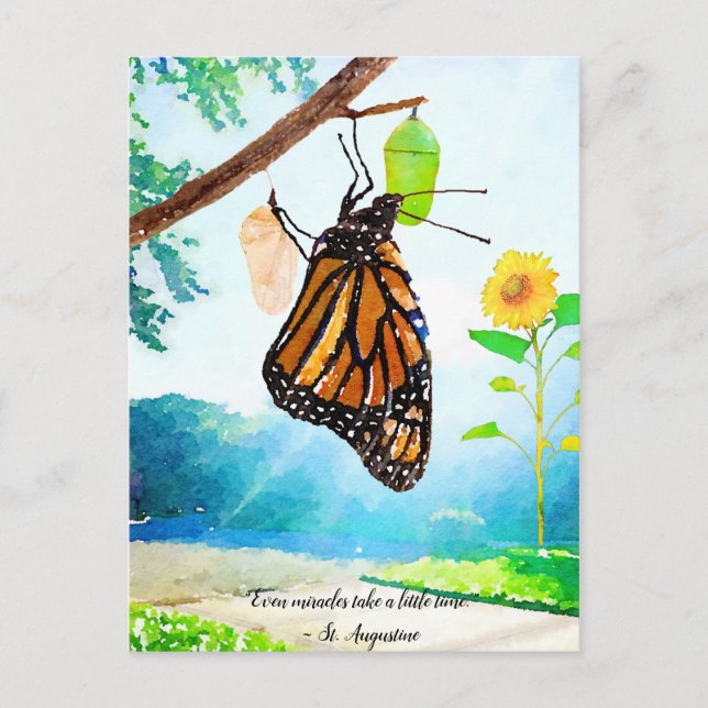 Monarch Butterfly Postkarte (Vorderseite)
