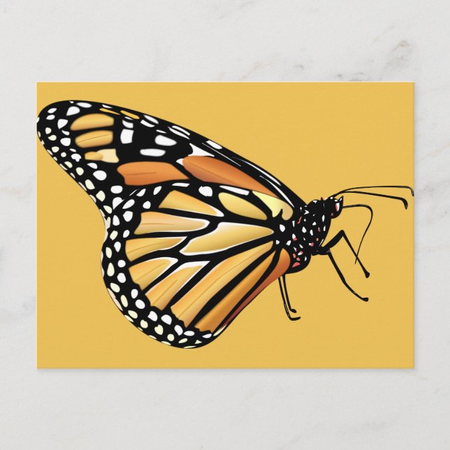 Monarch Butterfly Postkarte (Vorderseite)