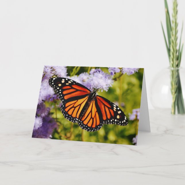 Monarch Butterfly-Restrukturierungskarte Karte (Vorderseite)