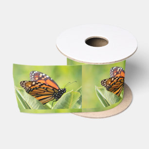 Monarch Butterfly Ribbon Satinband