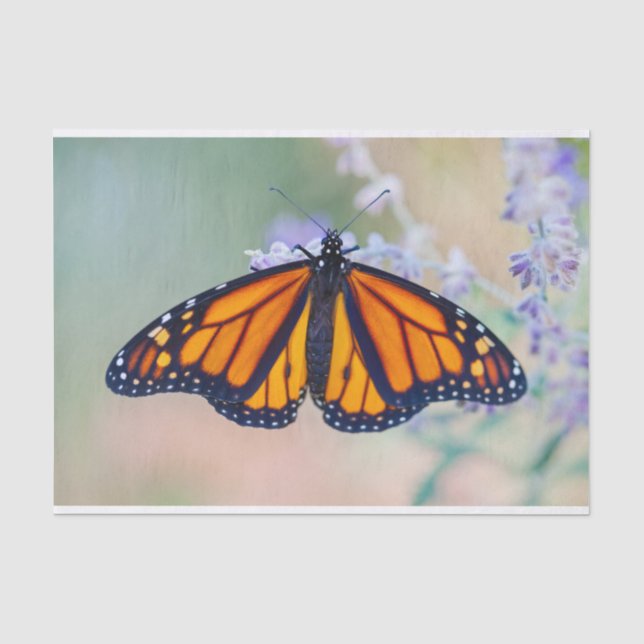 Monarch Butterfly Seidenpapier (Vorderseite)