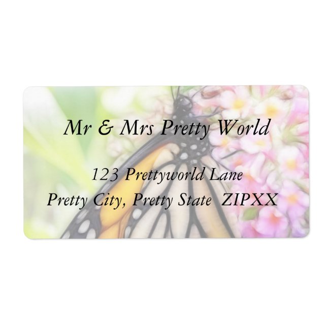 Monarch Butterfly Sipping Nectar (Vorne)