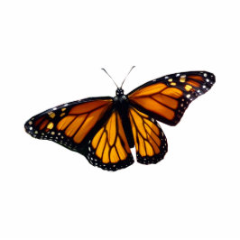 Monarch Butterfly-Skulptur Freistehende Fotoskulptur