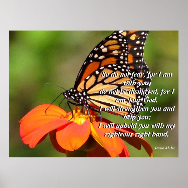 Monarch Butterfly Sonnenblume Blume Poster (Vorne)