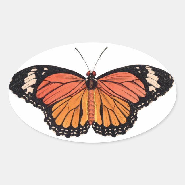 Monarch Butterfly Stickers (Vorderseite)