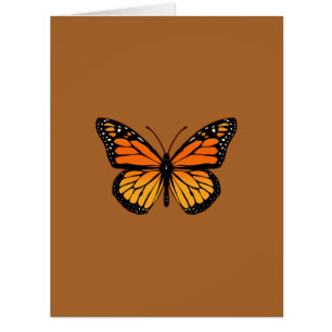 Monarch Butterfly sur Sienna