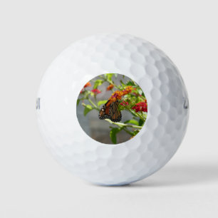 Monarch Butterfly über den Roten Schmetterling Bus Golfball