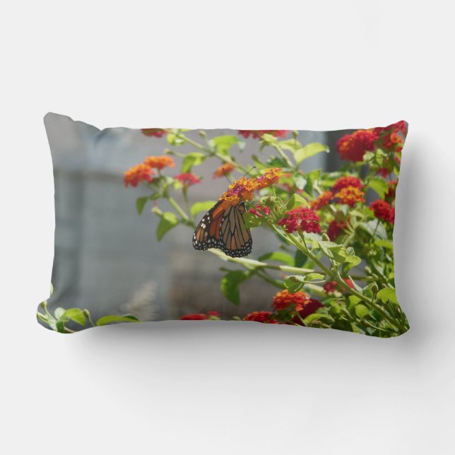 Monarch Butterfly über den Roten Schmetterling Bus Lendenkissen (Vorderseite)