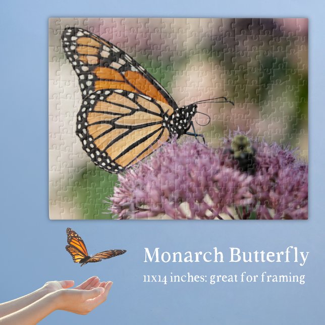 Monarch Butterfly über die natürliche Wildblume (Monarch Butterfly Puzzle with a monarch on Ohio native wildflower joe pye weed.)