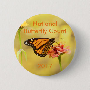 Monarch Butterfly über Zinnia Button