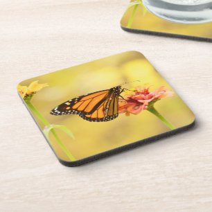 Monarch Butterfly über Zinnia Getränkeuntersetzer