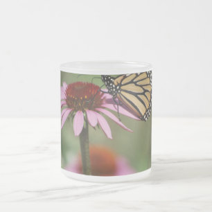 Monarch Butterfly und Black Mit Augen Susan Mattglastasse