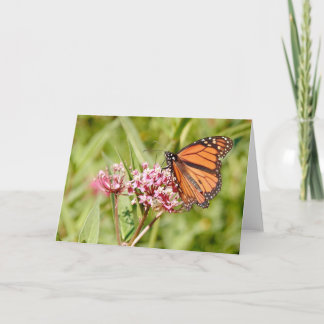 Monarch Butterfly und Freund Karte