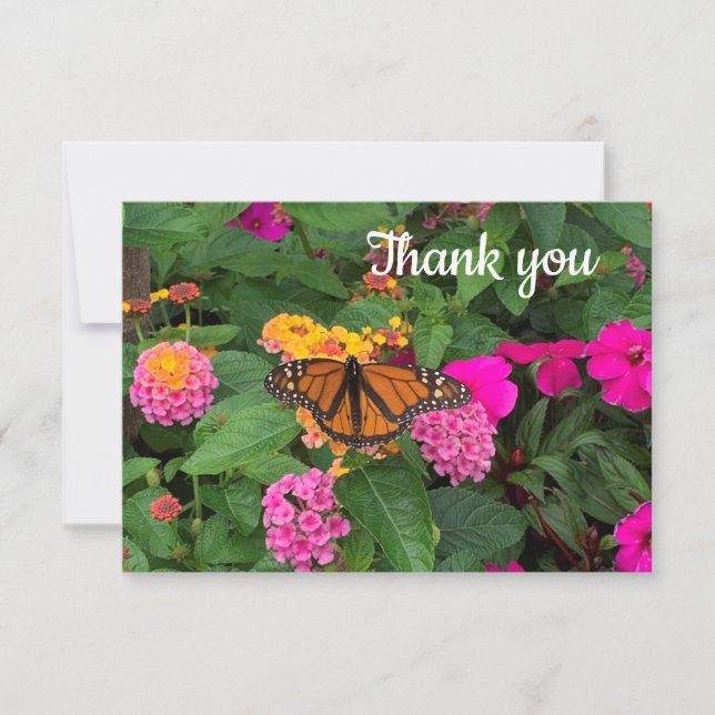 Monarch Butterfly und Pink Blume Danke Karte (Vorderseite)
