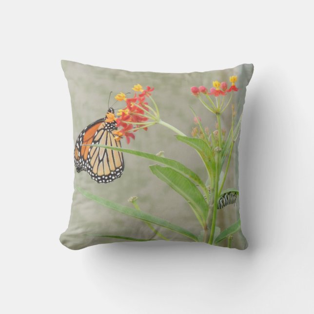 Monarch Butterfly und Raupe Kissen (Vorderseite)