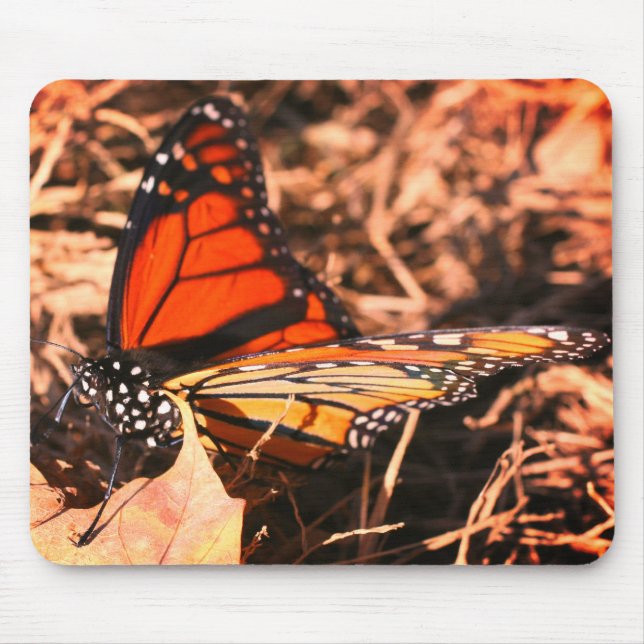 Monarch Butterfly versinnbildlicht Natur Mousepad (Vorne)