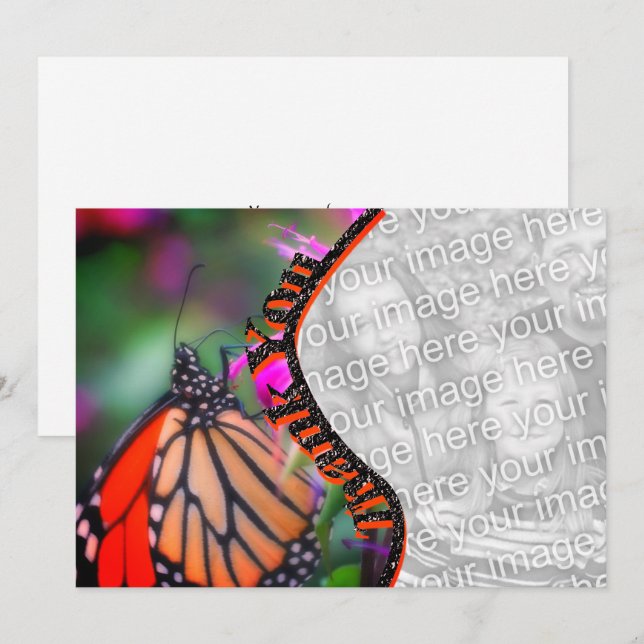 Monarch Butterfly Vielen Dank Foto-Karte Dankeskarte (Vorne/Hinten)