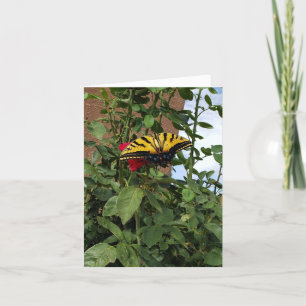 Monarch Butterfly: Wandel, Wandel, Hoffnung Dankeskarte