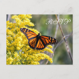 Monarch Butterfly Wedding RSVP Postcard Einladungspostkarte