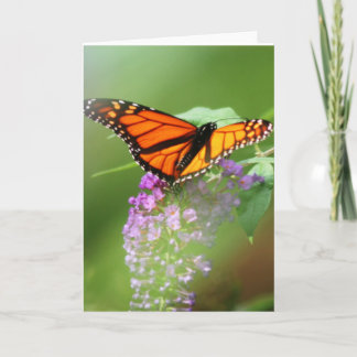 Monarch Card-Customize it! Karte