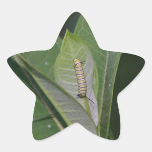 Monarch Caterpillar stickers