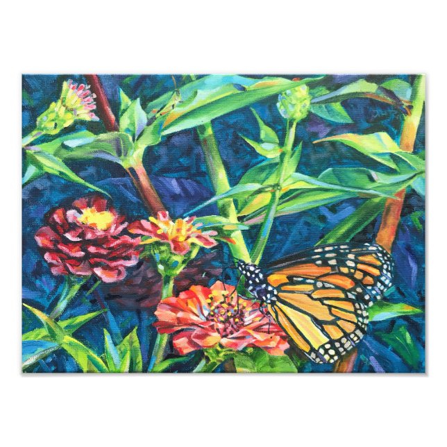 Monarch Fotodruck (Vorne)