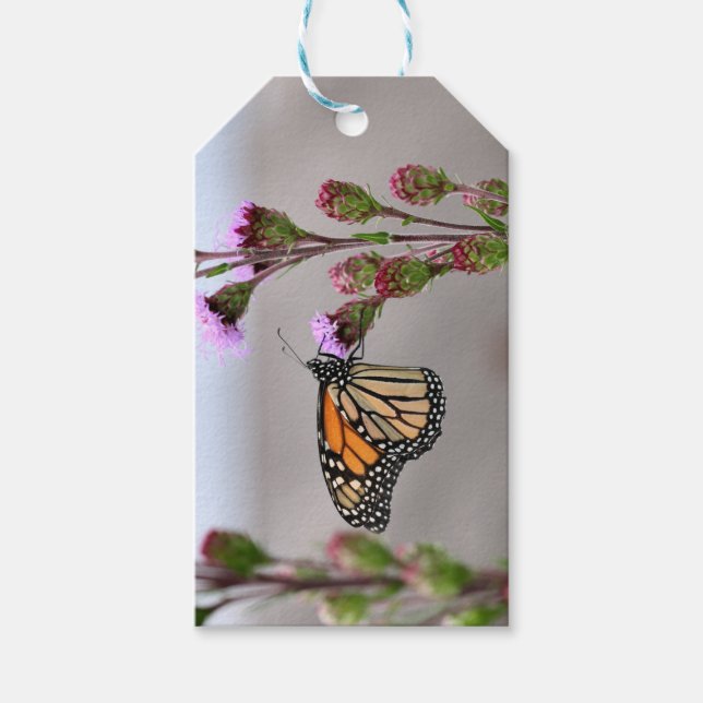 Monarch Geschenkanhänger (Vorderseite)